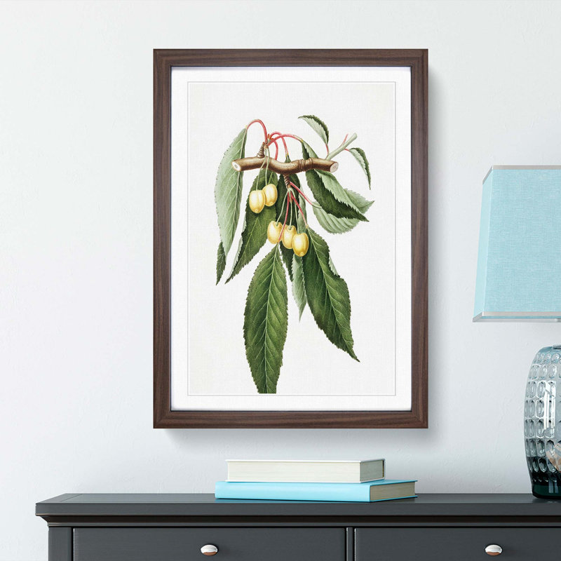 Ripening Cherries by Giorgio Gallesio - Picture Frame Painting Print, 65cm H x 48cm W x 2cm D, Walnut Framed