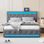Upholstered Storage Bed-1453966494