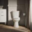 Cimarron® 1.28 GPF Water Efficient Round Two-Piece toilet (Seat Not Included)-57909340-101379254