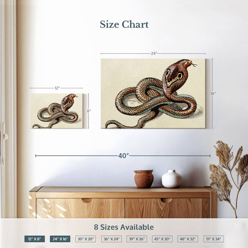 Brampt Indian Cobra, 16" H x 24" W
