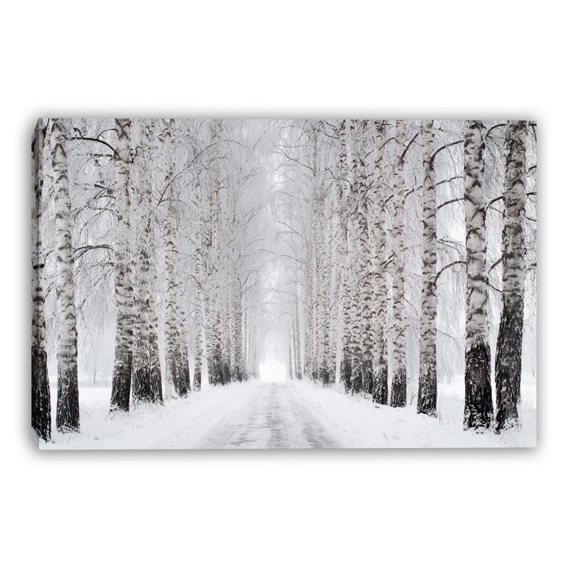 Winter Birch Path Wrapped Canvas Wall Art, 12"x16"