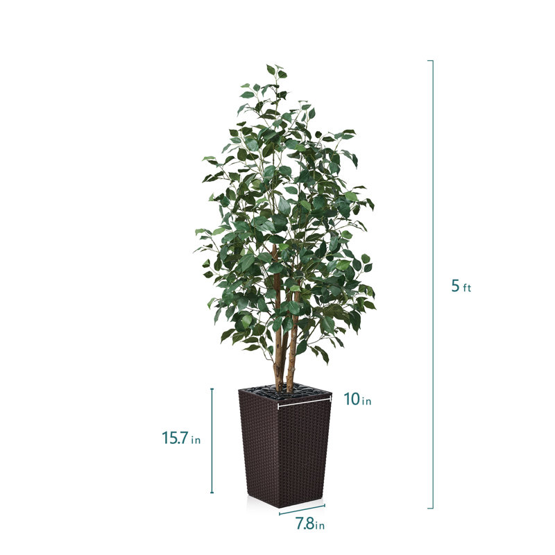 Adcock UV Protected Artificial Ficus Tree with Decorative Base, Faux Ficus Plant with Natural Trunk, Brown