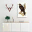 Wedge Tailed Eagle by Elizabeth Gould - Wrapped Canvas-55305251