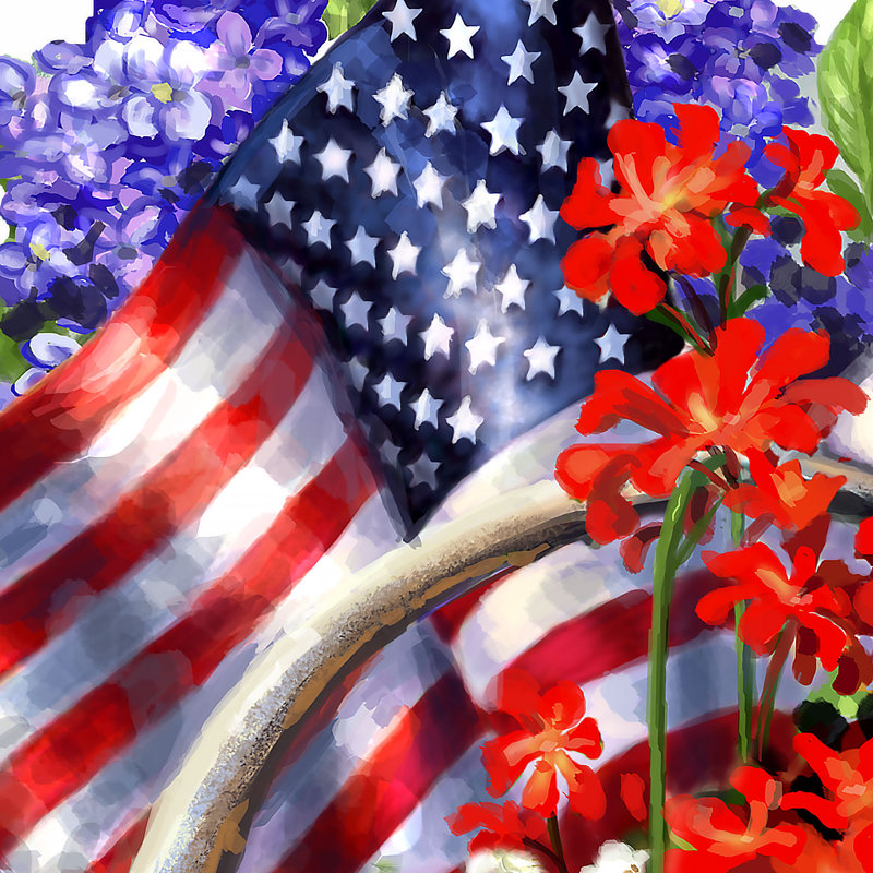 Cintre et porte mural american freedom