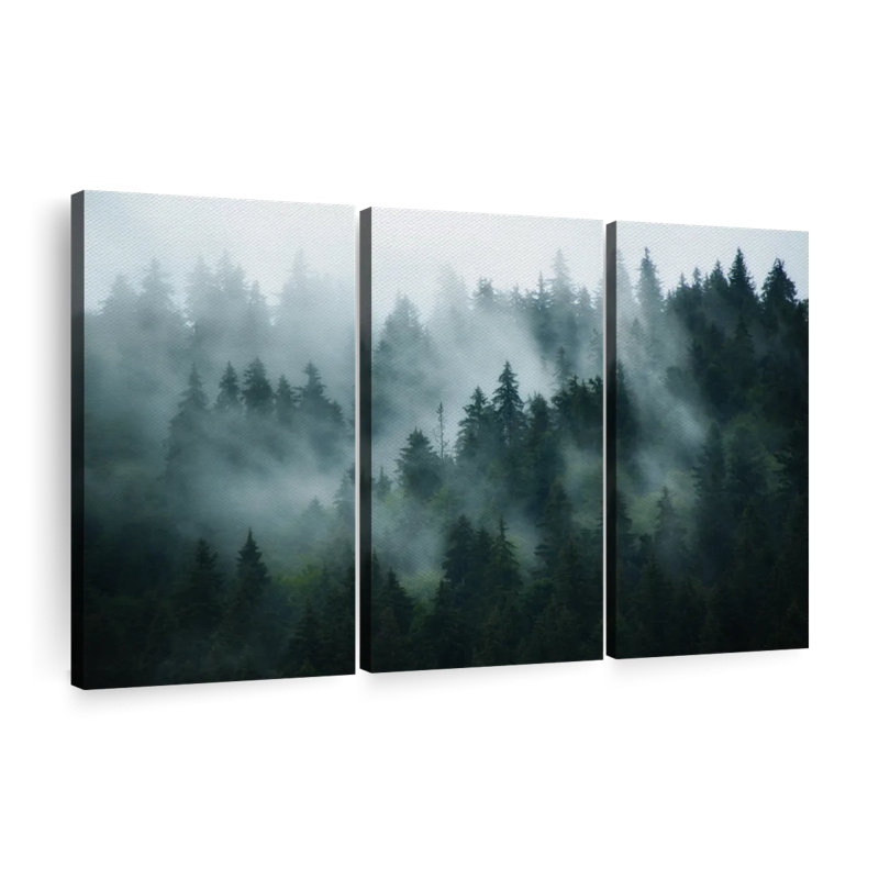 «Misty Fir Forest Wall Art», reproduction d'art sur toile, H 36 po x l 57 po x P 1,25 po