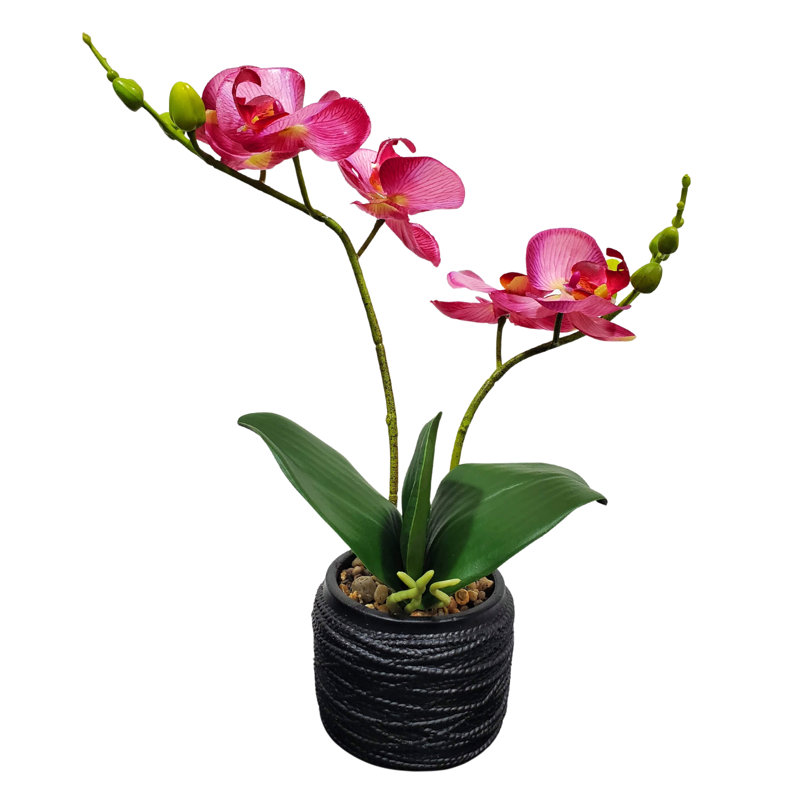Polyresin Orchid Bliss - Lifelike Planter, Pink, Black