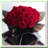 Waterproof Floral Wrap, 20 Sheets
