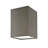 Dark Sky Flush Mounted Sconce