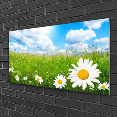 Nature Daisy Grass - No Frame Print on Glass