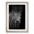 Oak Framed selected