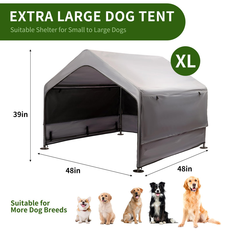 Extra Large Dog House Outside