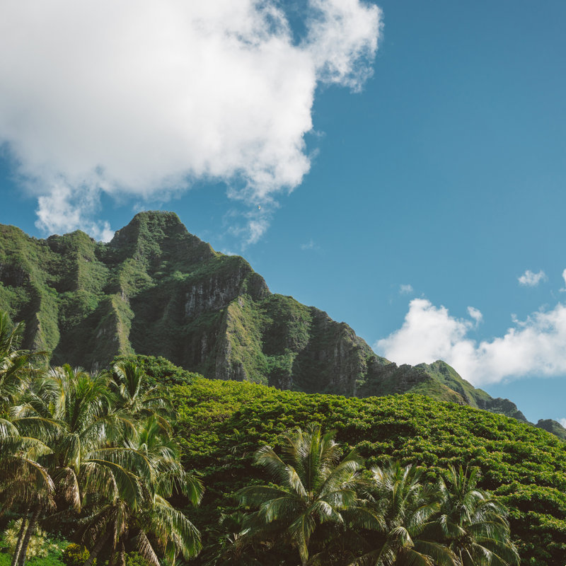 «Hawaiian Mountain III», impression sur toile tendue, H 12 po x l 12 po, Non, Toile tendue