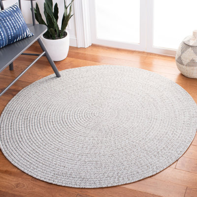Edie Braided Silver/Grey Indoor/Outdoor Rug