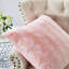 Housse de coussin Ballys-1592043805-1592060482