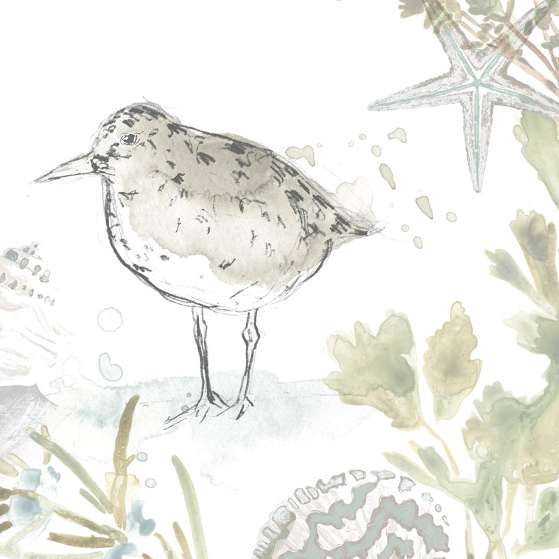 «Seaside Sandpipers IV» par June Erica Vess - peinture sur toile tendue, H 36 po x l 36 po