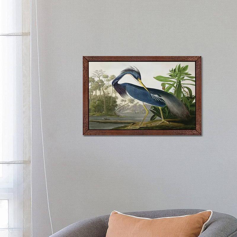 Louisiana Heron by John Audubon - Floater Frame Painting on Canvas, Brown Framed, 66.04 cm H x 45.72 cm W
