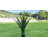 Faux Agave Plant In Pot-143646711-143646709