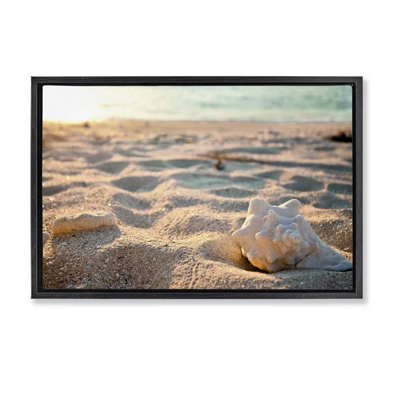 «Conch Shell in Sand», toile flottante encadrée par Susan Bryant, Cadre flottant noir de jais, H 17 po x l 25 po