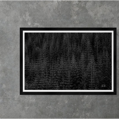 Among Static Pines " Among Static Pines Iii " by Tim Klein