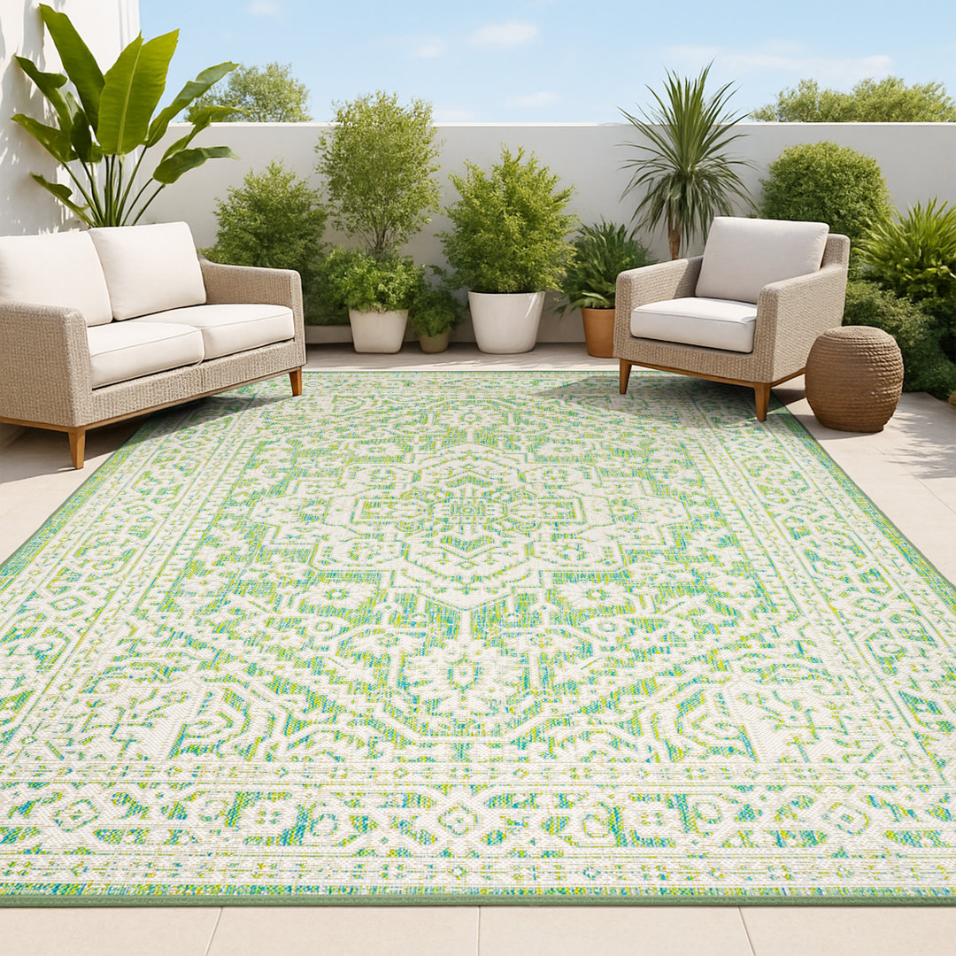 Aaleayah Medallion Textured Weave Cream/Green Indoor/Outdoor Rug Dakota Fields Rug 