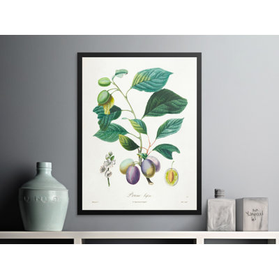 No Frame Print