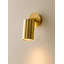 Eveleth 1-Light Wall Spotlight