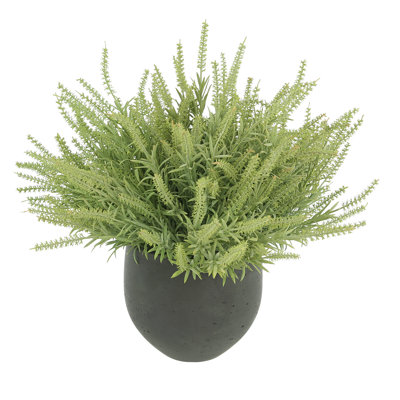 Astilbe Arrangement In A Fiberstone Pot