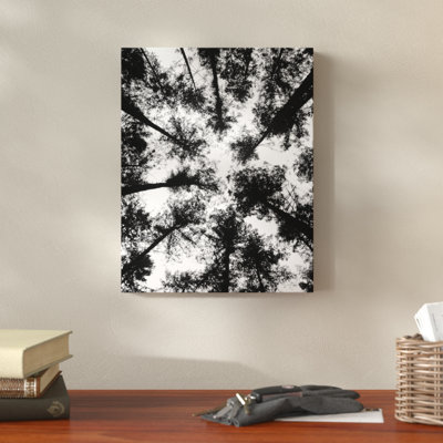«Black and White Tree Lookup», reproduction de photo sur toile