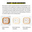 Solid Wood Analogue Wall Clock