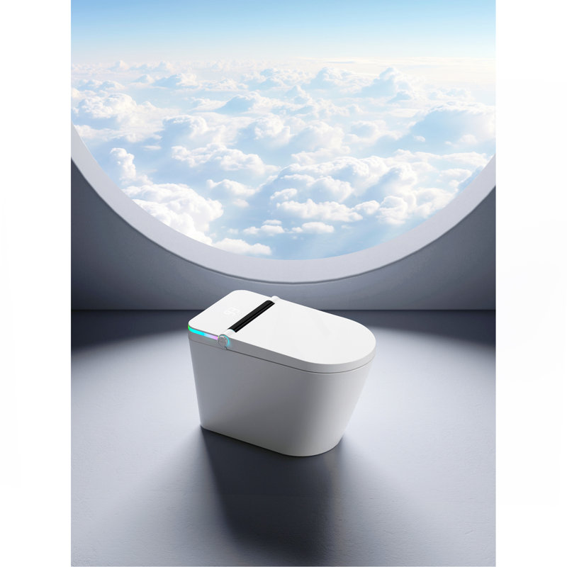 Toilette intelligente avec siège de bidet intégré