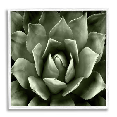 «Succulent Plant Close Up View» encadré sur bois par Lindsay Benson, peinture