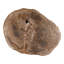 Arik Coffee Table Light Natural