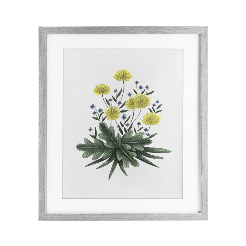 «Dandelion Flower Illustration», reproduction encadrée sous verre, conception de Cecilia Battaini, H 21 po x l 17 po