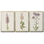 Mauve Garden Flowers I, ensemble de 3 toiles encadrées sur toile-97792184-97792185