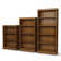 Axess Bookcase