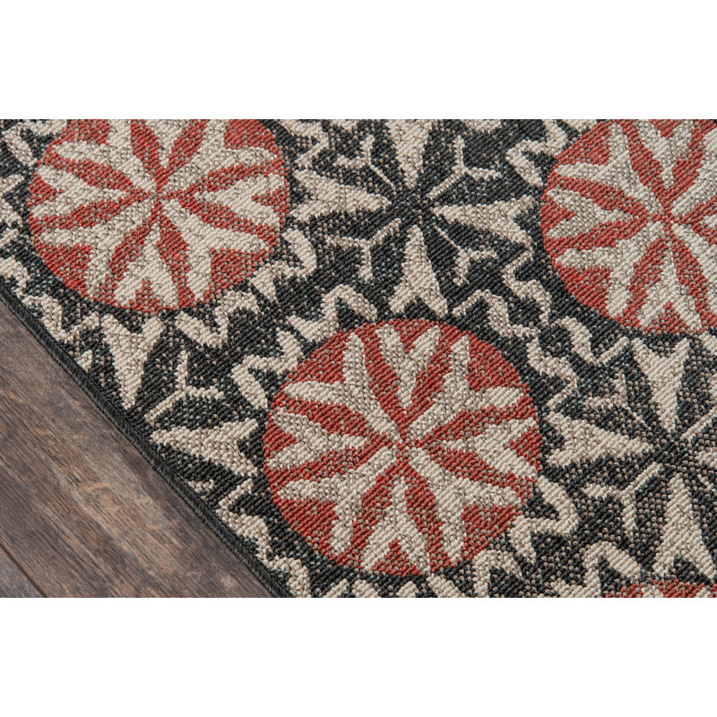 Tapis intérieur / extérieur gris anthracite Ashleigh, Tapis de couloir 2 pi 3 po x 7 pi 6 po