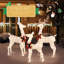 Christmas Deer Lighted Display 3 Piece Set-772121431