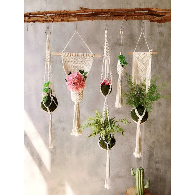 Chyvonne Plant Hanger