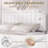 Huntsville 4-Drawer Velvet Upholstered Platform Bed-245840173-242197126