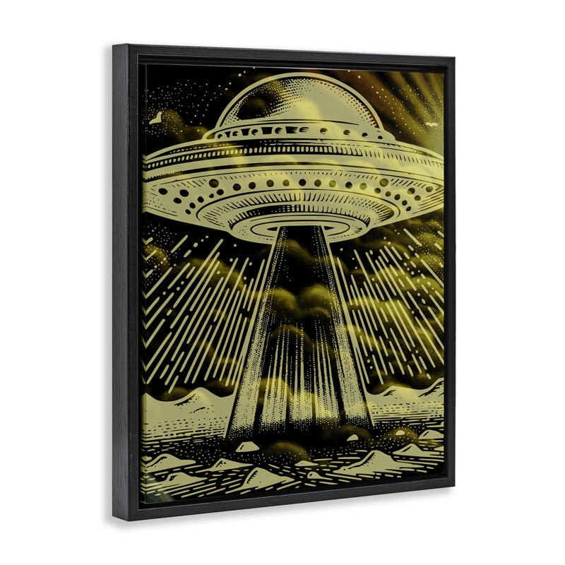 Cadre flottant mystérieux UFO, design par Jesse Keith, Cadre flottant noir de jais, H 21 po x l 17 po