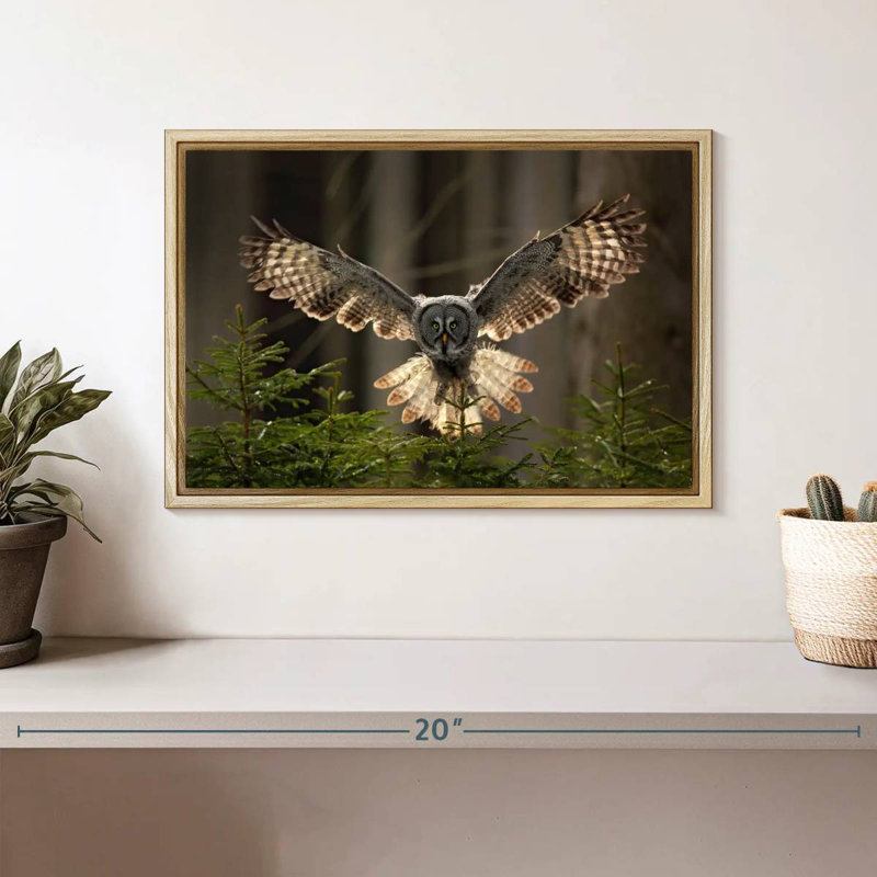 Hibou volant, Cadre flottant en bois naturel, 13 po x 9 po