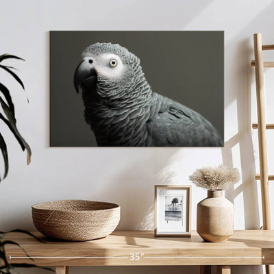 African Grey Parrot