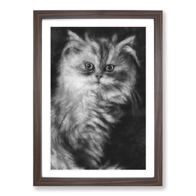 Persian Cat - Framed Print, 48cm H x 36cm W x 2cm D, Walnut Framed