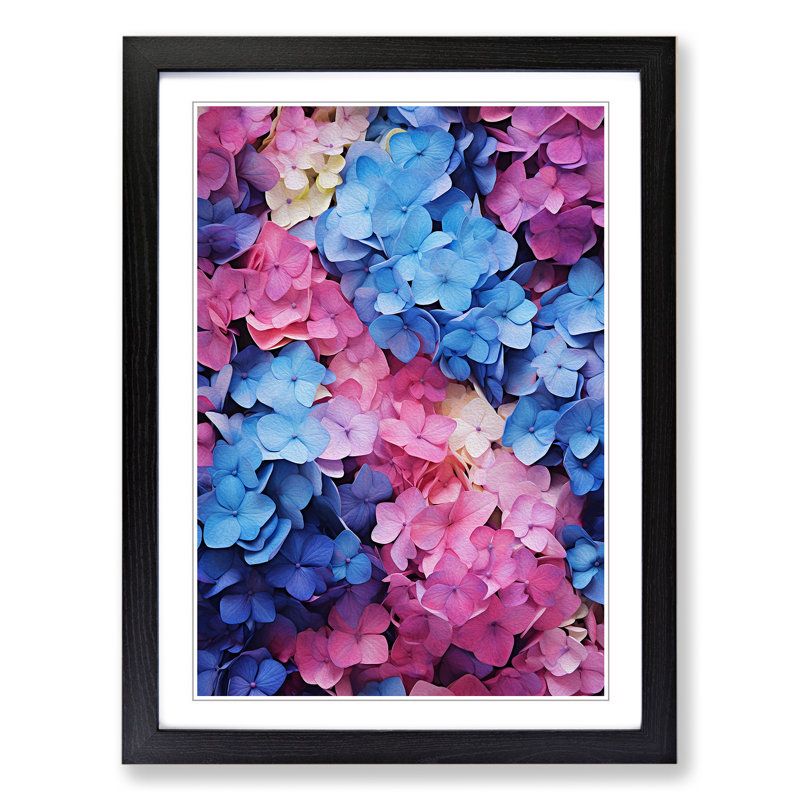 Hydrangea Colour Field - Framed Print, Black Framed, 46cm H x 34cm W x 2cm D