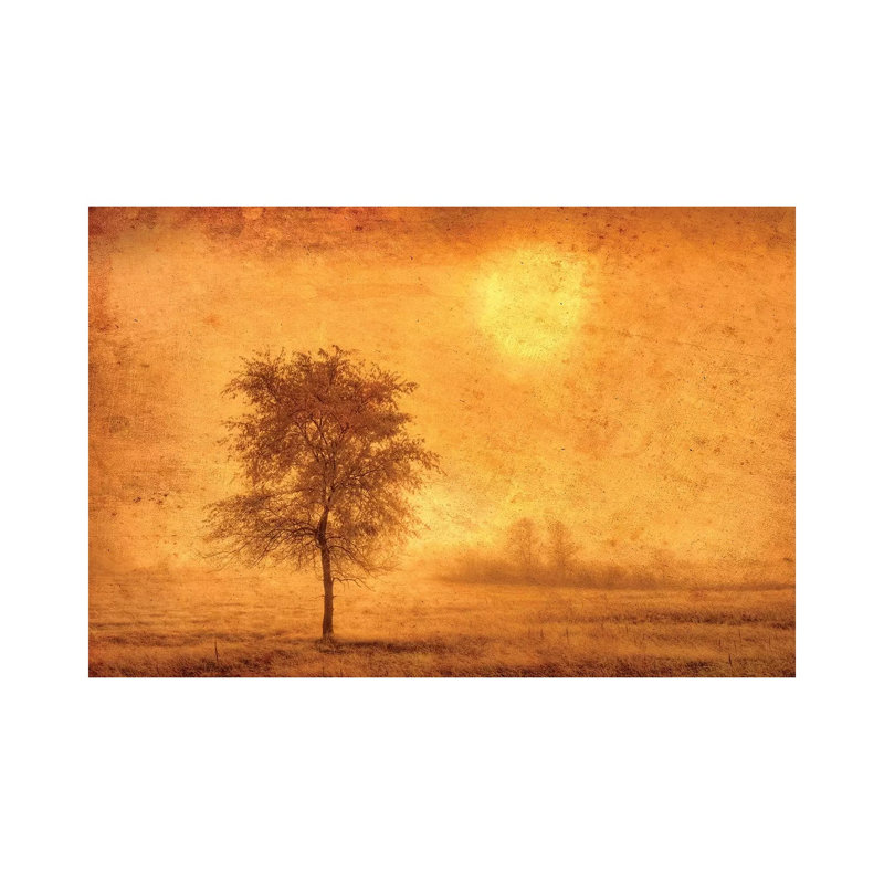 Canada. Tree In Fog At Sunrise. by Jaynes Gallery - Wrapped Canvas Gallery-Wrapped Canvas Giclée, 101.6 cm H x 66.04 cm W