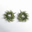 Couronne de fougère et d'herbe artificielle-255513248