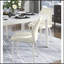 Ensemble de 2 chaises d'appoint Modern