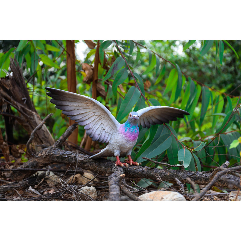 AILES DE PIGEON, Bleu/gris