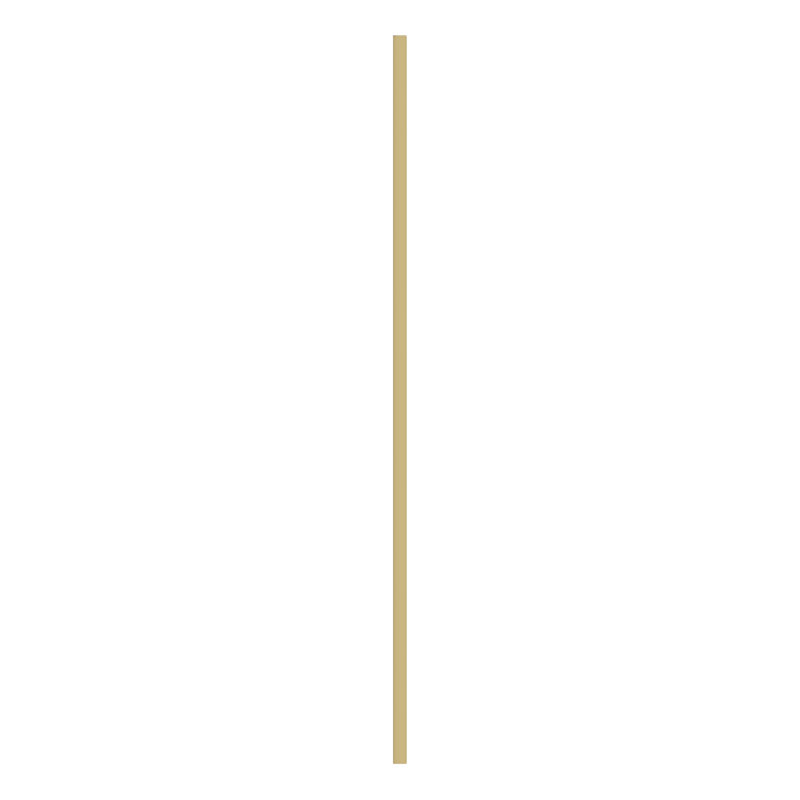 Rectangle Metal Frame Wall Mirror Simple and Elegant Modern Design, 100cm H x 66cm W, Gold