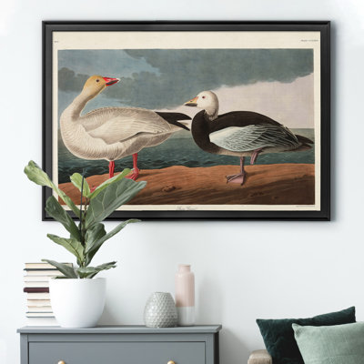 Oie des neiges - reproduction d'art sur toile